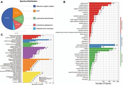 The lncRNA-mediated ceRNA network of Altica viridicyanea is involved in the regulation of the Toll/Imd signaling pathway under antibiotic treatment